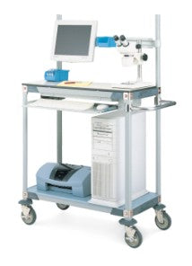 Mobile Desk