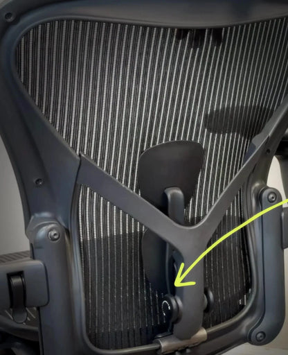 Herman Miller PostureFit SL Kit with Adapter for Aeron Chairs