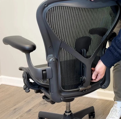 Herman Miller PostureFit SL Kit with Adapter for Aeron Chairs
